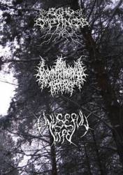 Unuseful Life : Escort by Sadness